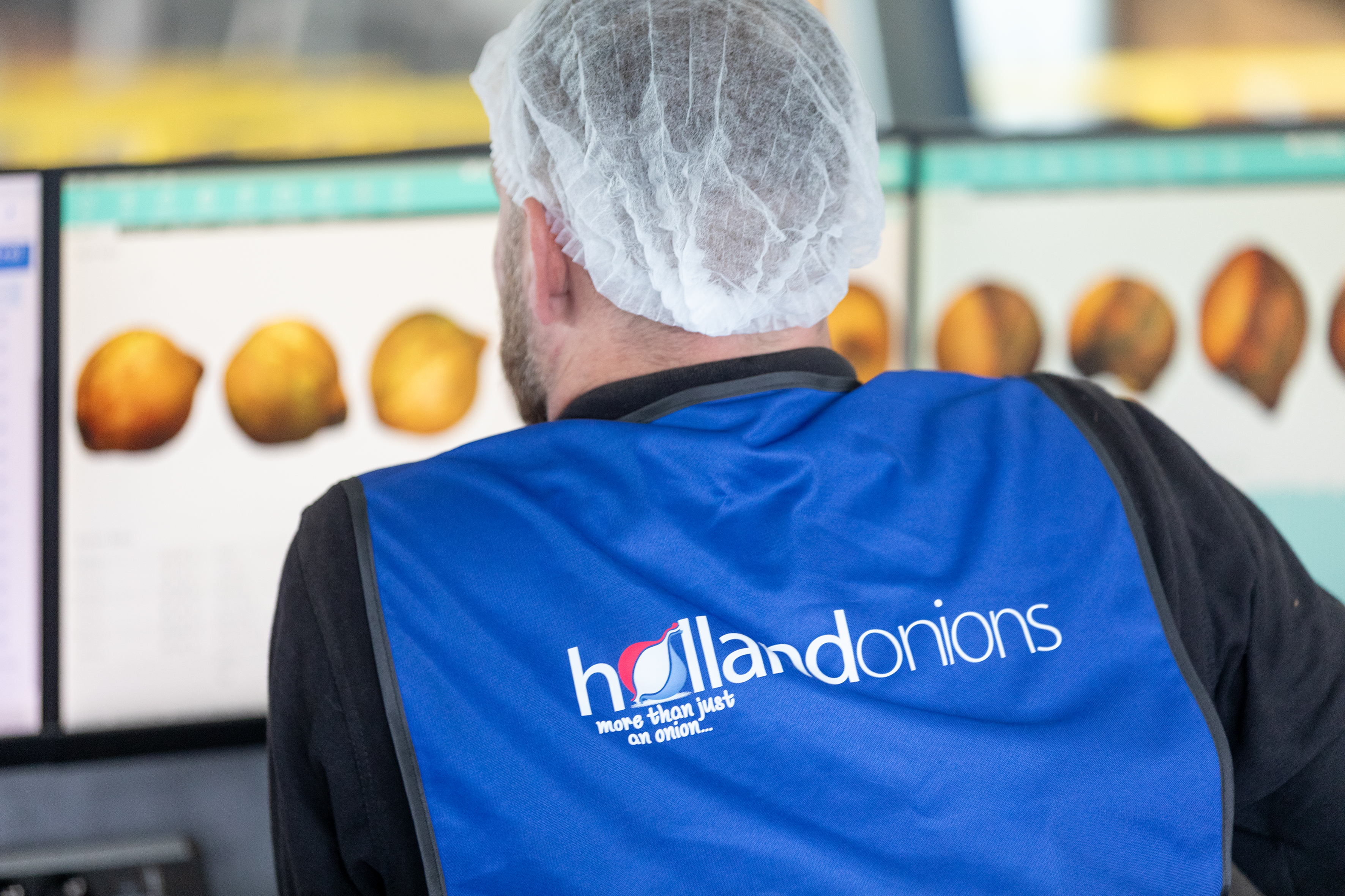 AI is the latest fellow companion of the Holland Onion