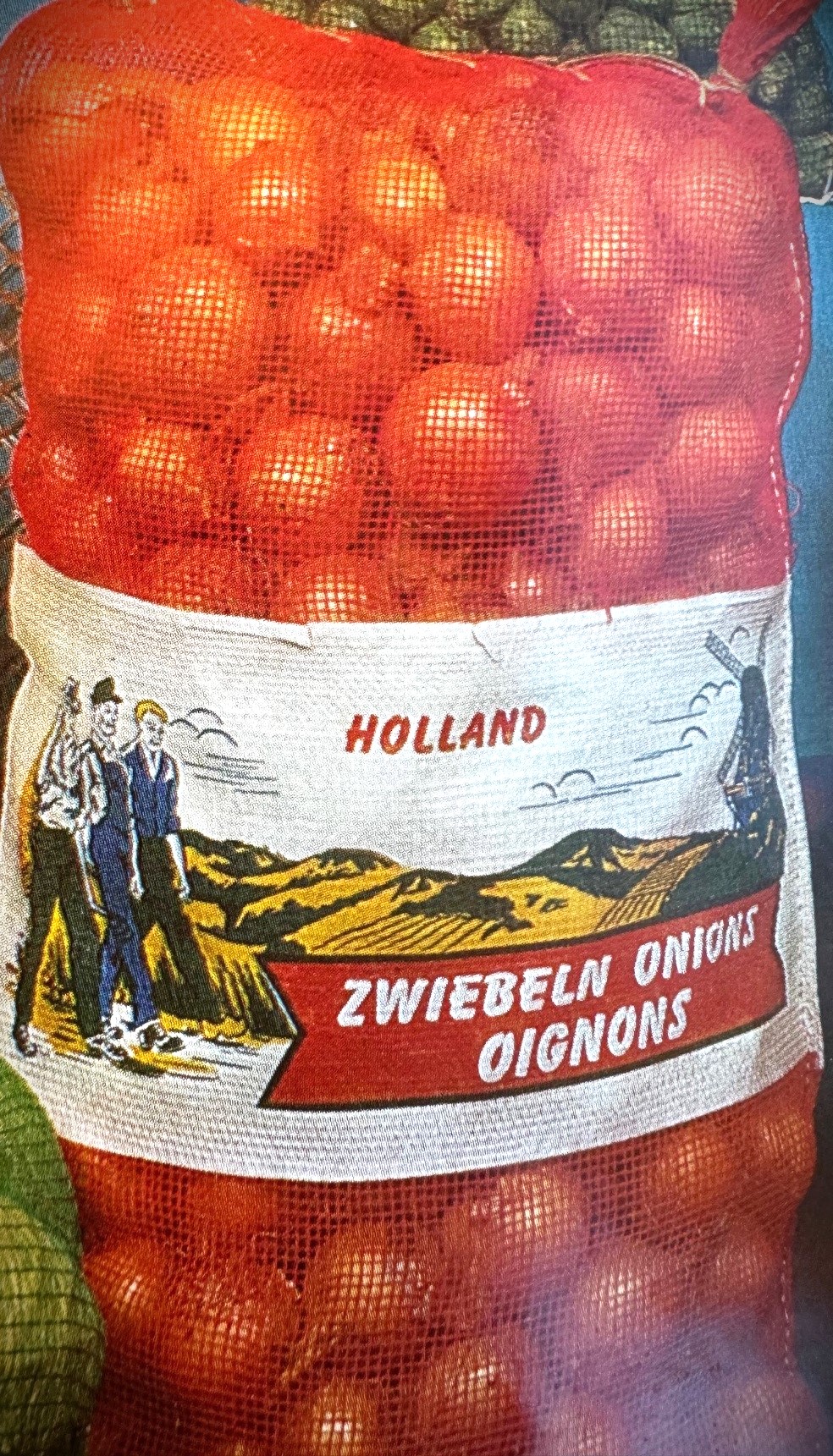 one of the first synthetic woven net bags for Holland Onions